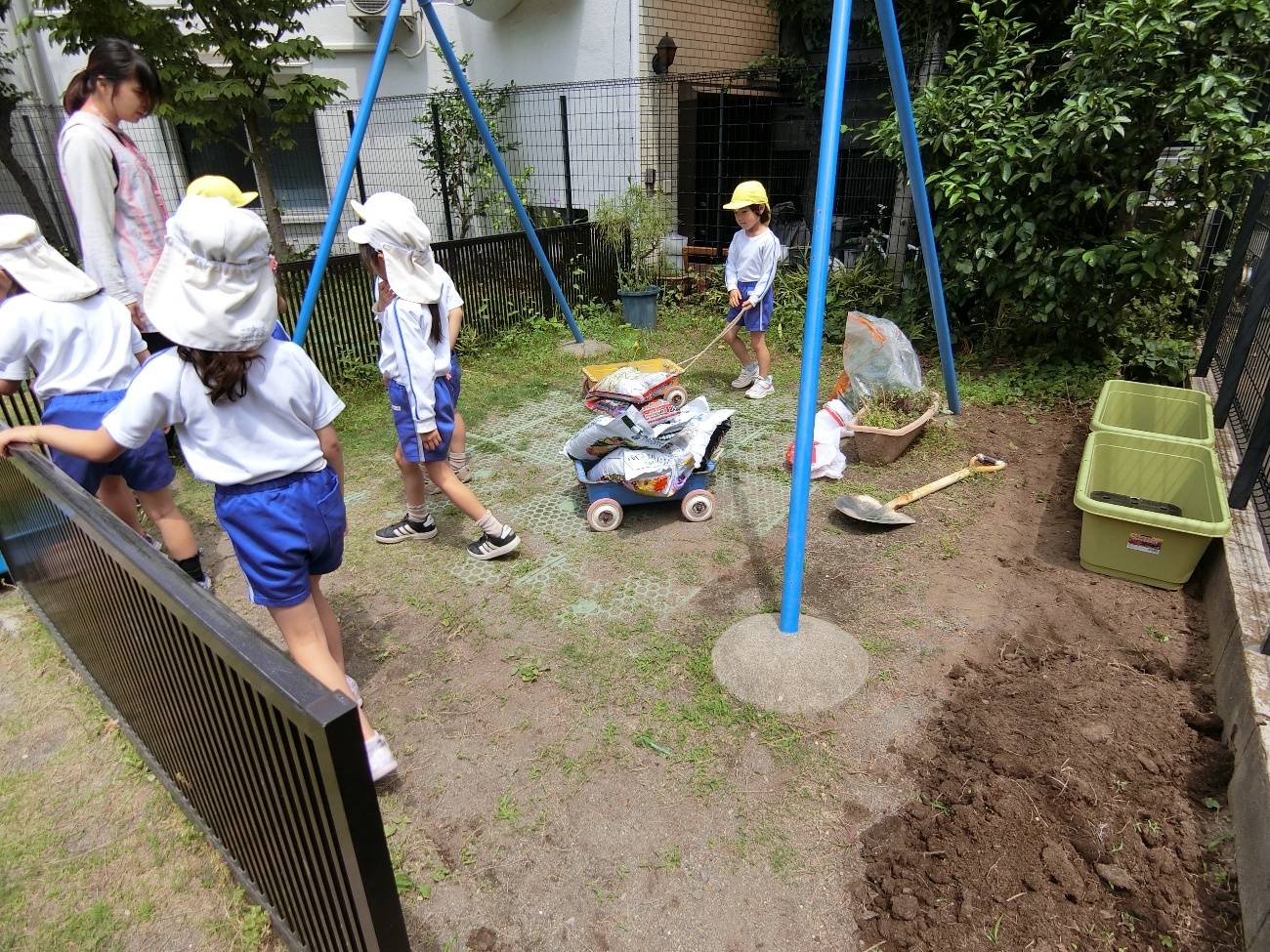 写真